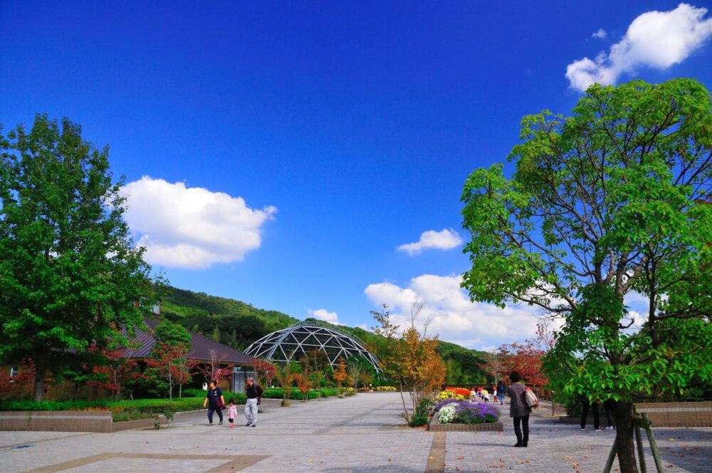 とくしま動物園 STELLA PRESCHOOL ANIMAL KINGDOMの園内