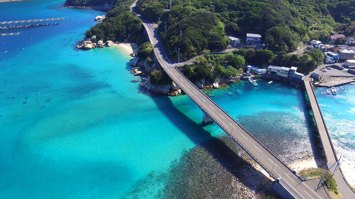 上空から見た柏島橋周辺