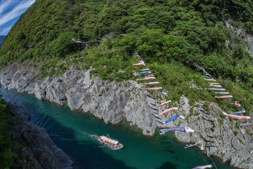 徳島県三好市の景勝地 大歩危・小歩危の上空を泳ぐこいのぼりと遊覧船