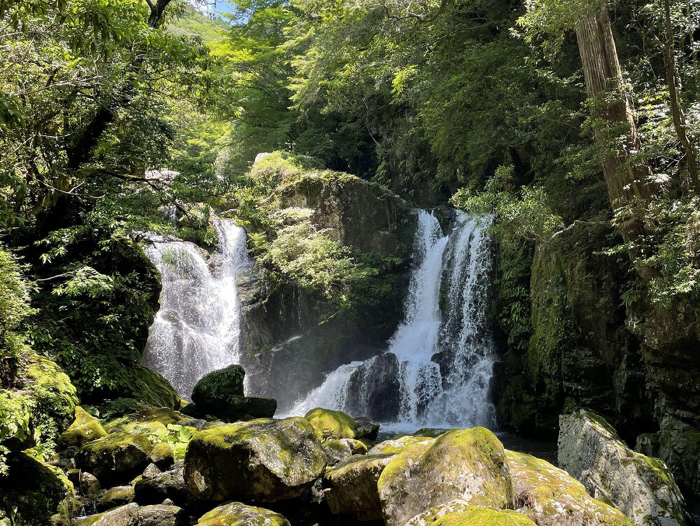 海部川上流にある滝群の一部