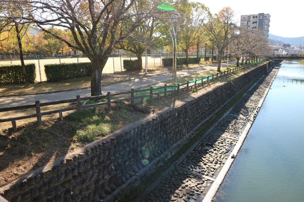 城西公園の脇を流れる江ノ口川と桜並木