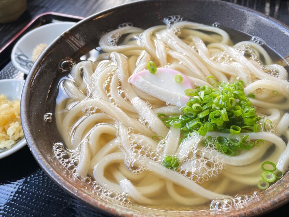 竜雲のかけうどん