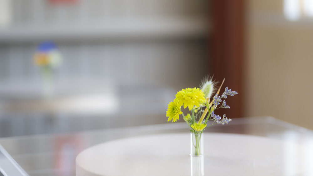 「マム」と呼ばれる洋菊