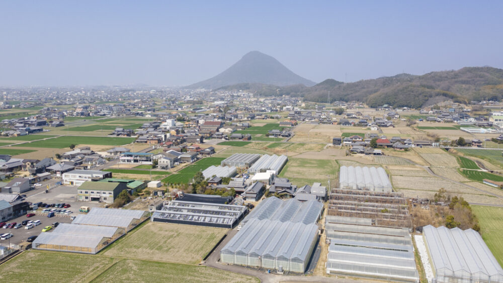 マムの生産農家『ファルチェ』がある香川県丸亀市綾歌町