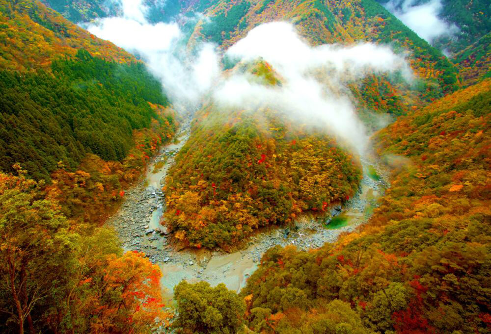 紅葉のひの字渓谷