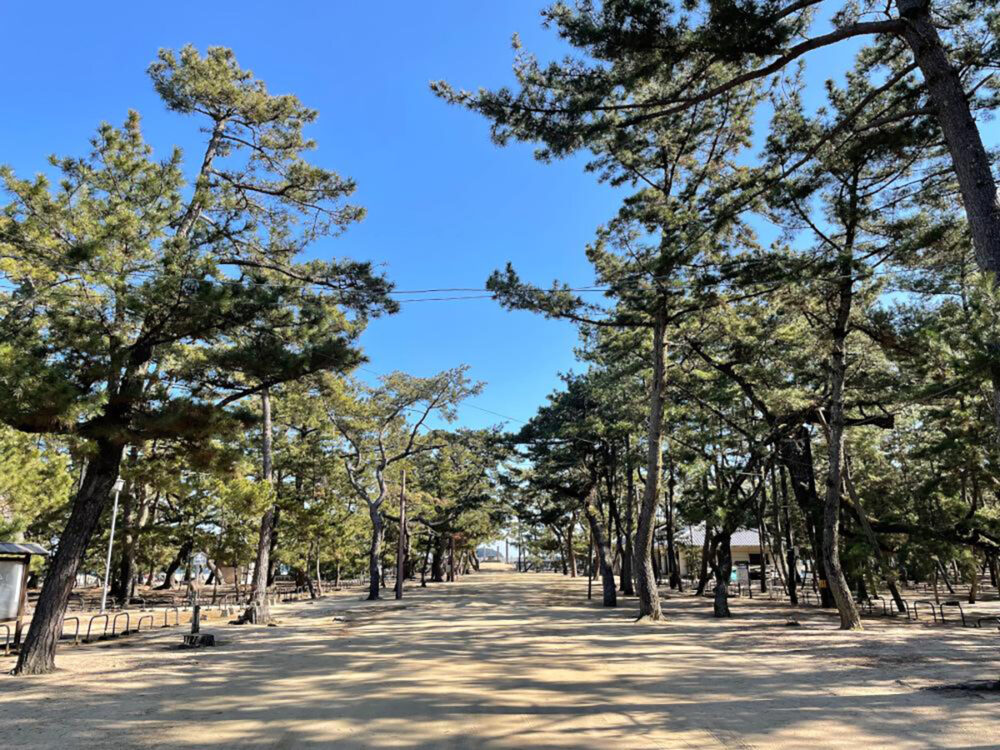 津田の松原(県立琴林公園)