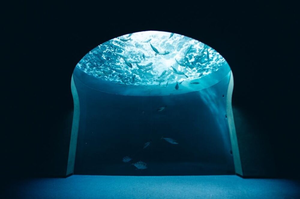 四国水族館の人気撮影スポット・渦潮の景