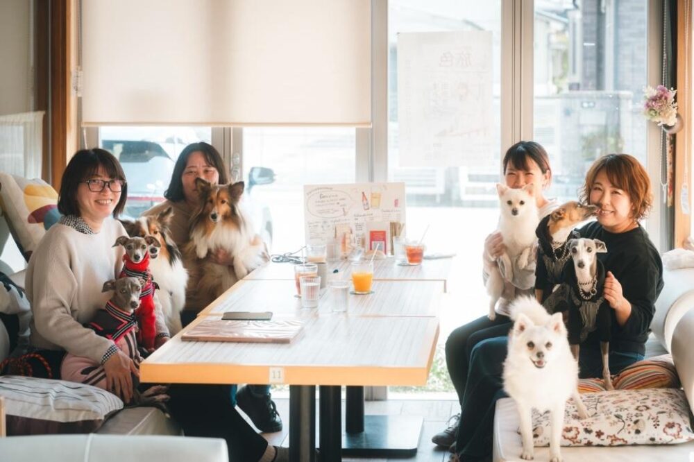 れんまるカフェ・ペットOKのテラス席