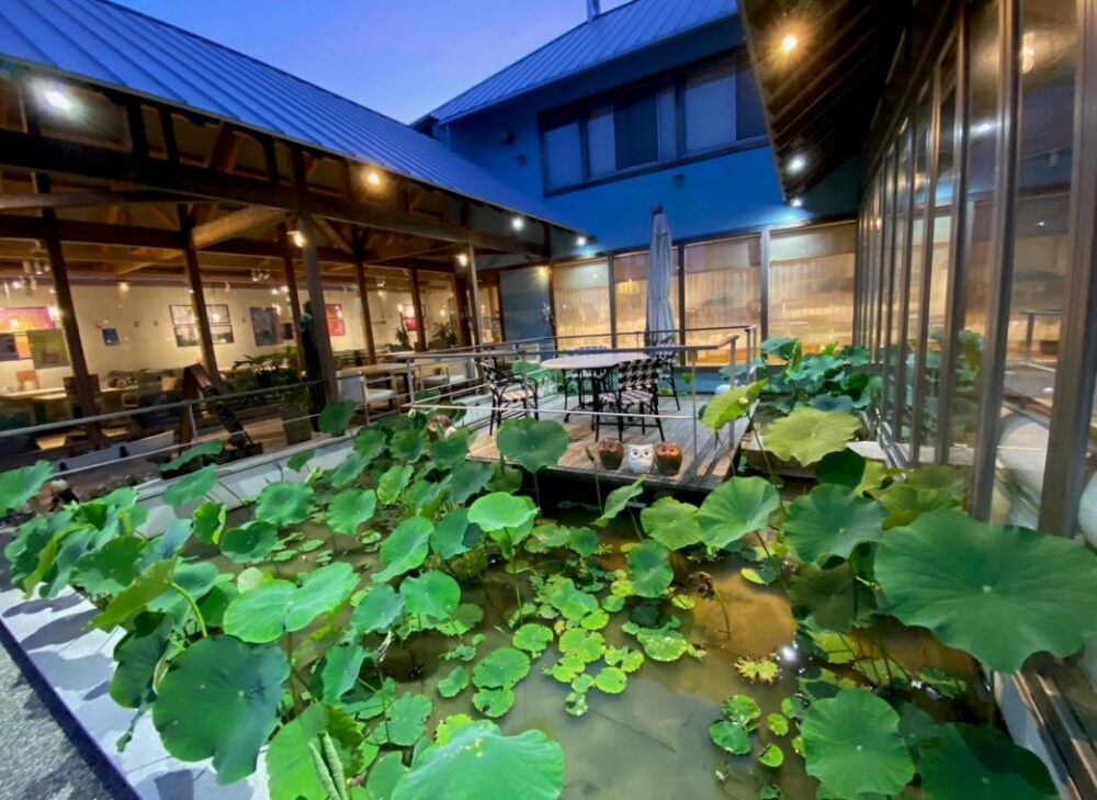 れんまるカフェ・れんこん畑の中に浮かぶステージ席はペットOK