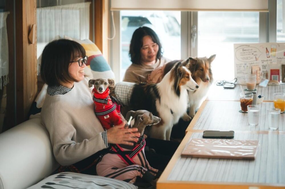 ペット同伴OKの室内テーブル席