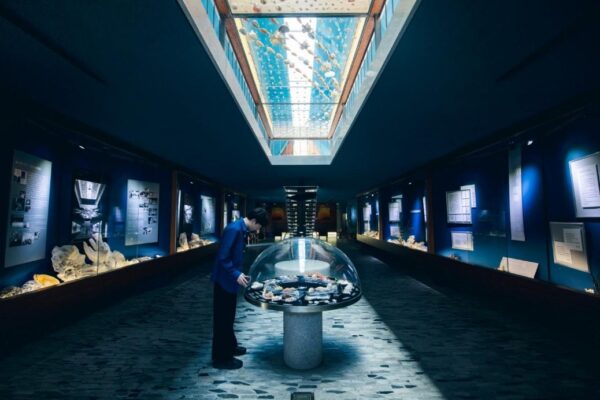 海のギャラリー1階のフォトジェニックな展示スペース