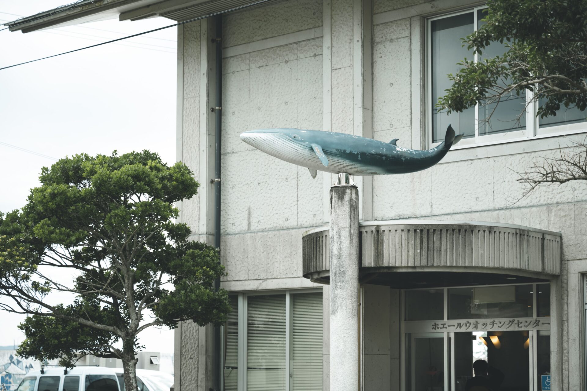 高知・大方ホエールウォッチングセンターにあるクジラのオブジェ