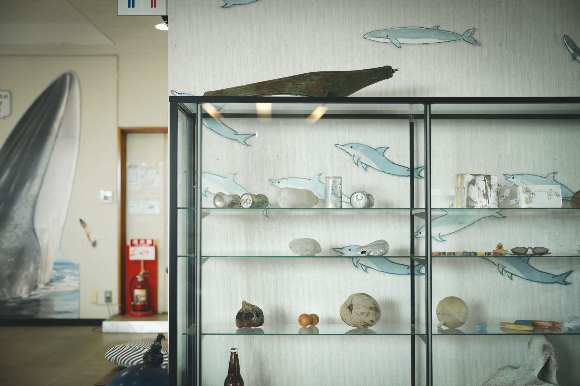 高知・大方ホエールウォッチングセンター館内のクジラの絵