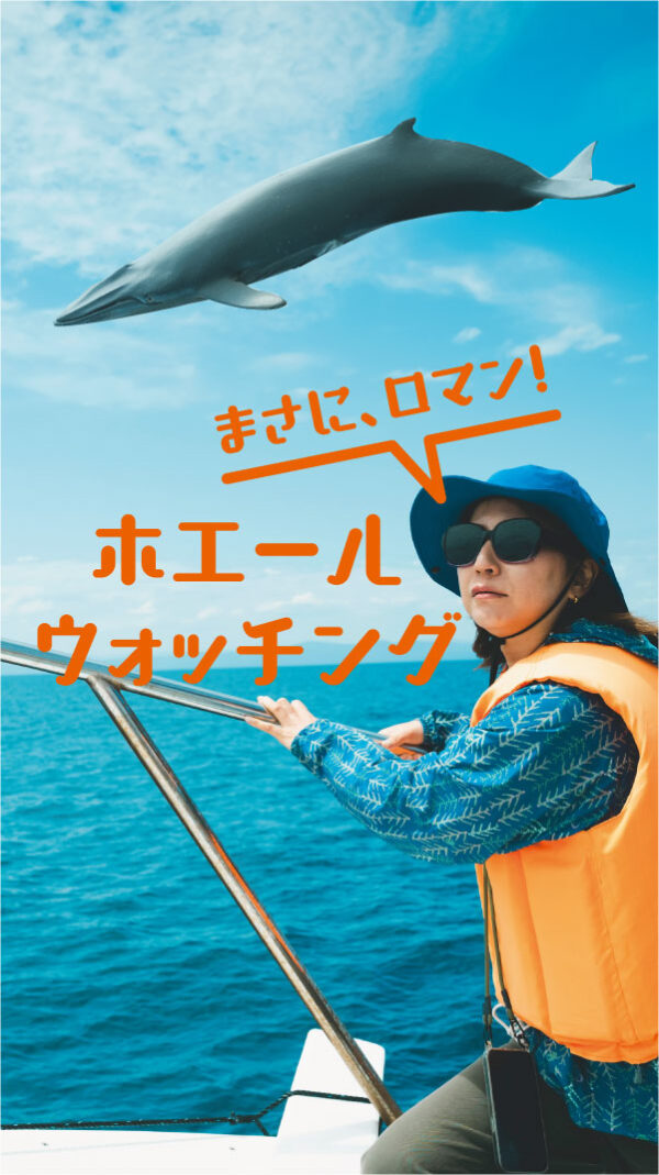 ホエールウォッチング