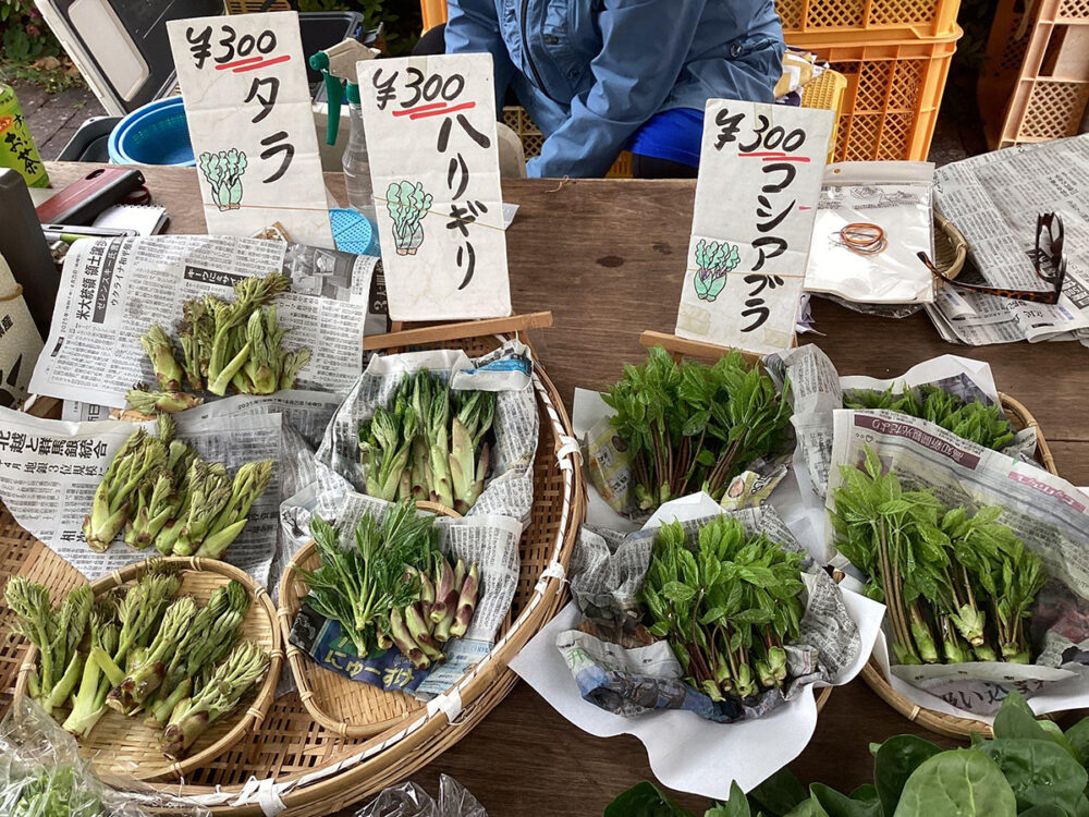 スーパーでは珍しい山菜