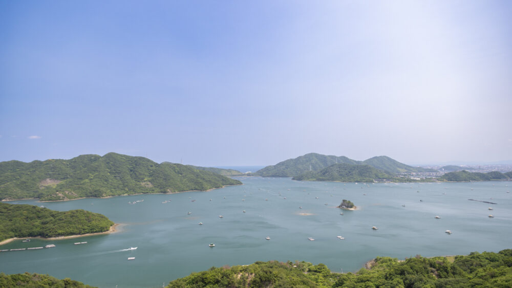 ウチノ海