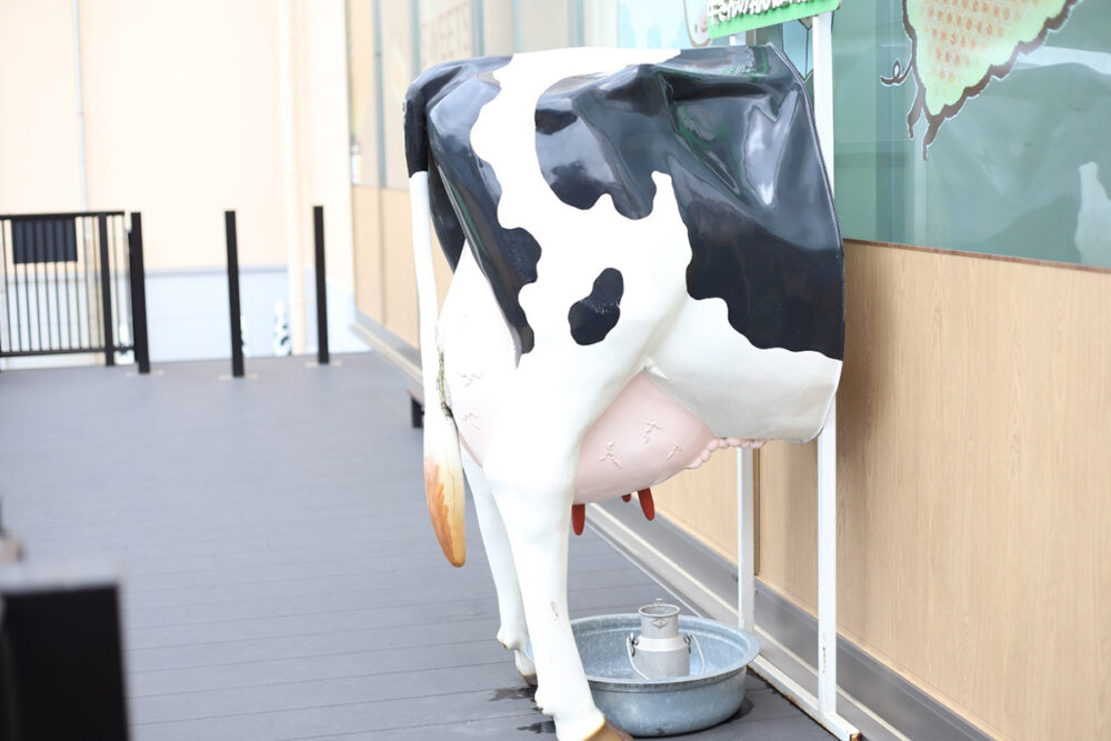 牛さんの乳しぼり体験スペース