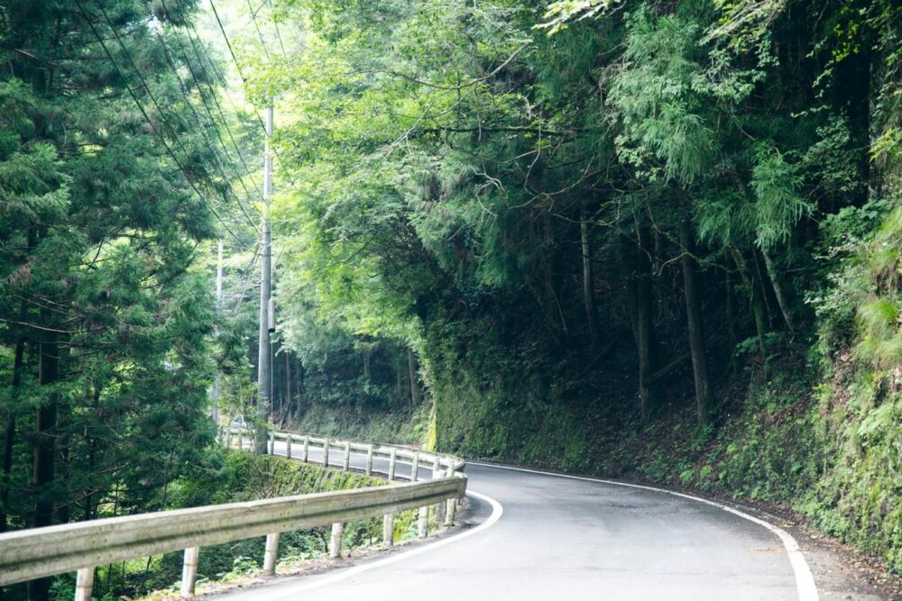 山の奥へ奥へと続く道