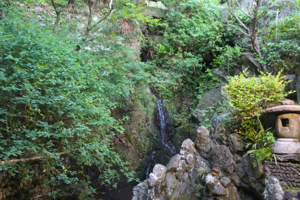 餡を炊き上げる眉山のふもとから湧き出る名水 「錦竜水」