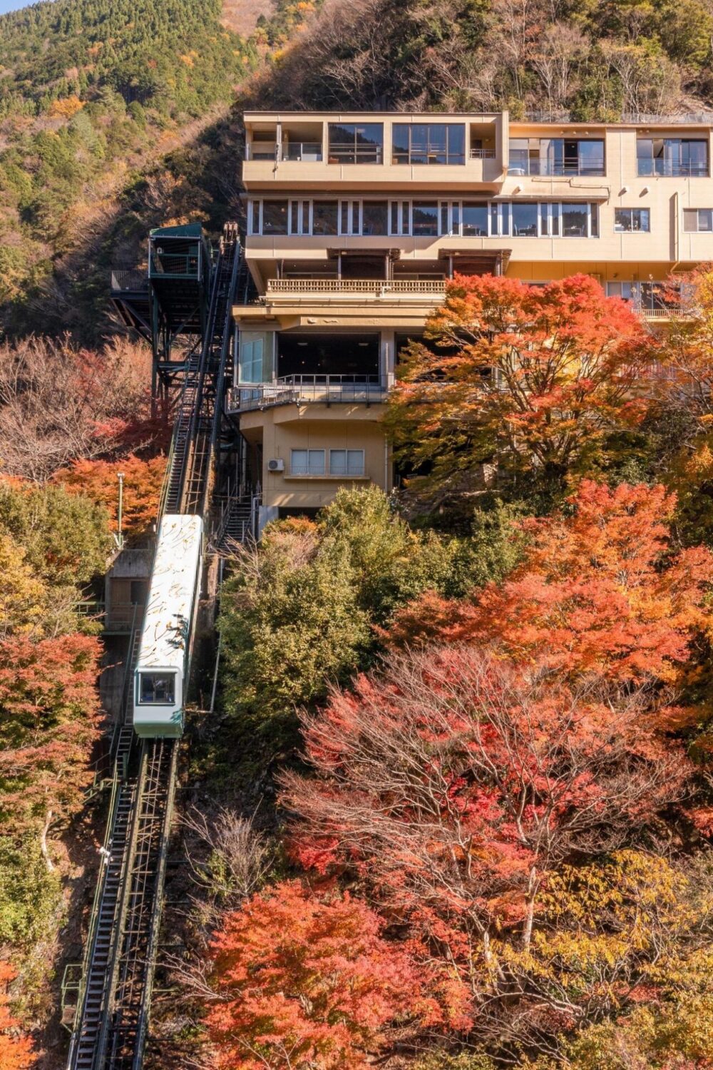 祖谷温泉のケーブルカーと紅葉