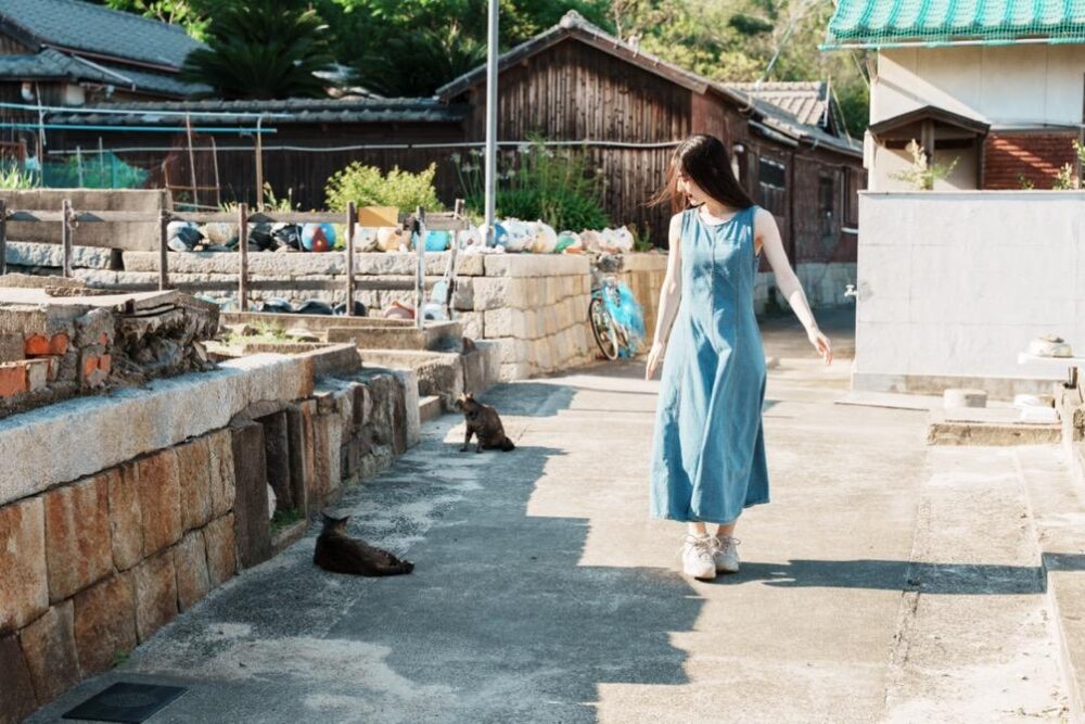 歩き進めるたびに猫と遭遇
