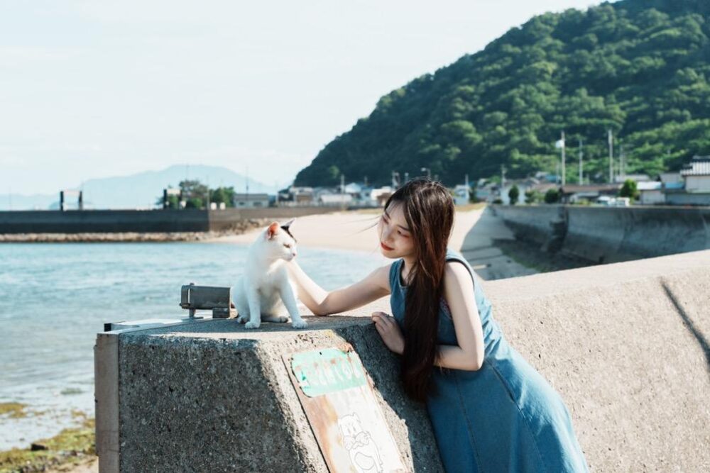 有名な猫ジャンプスポットで猫とコミュニケーション