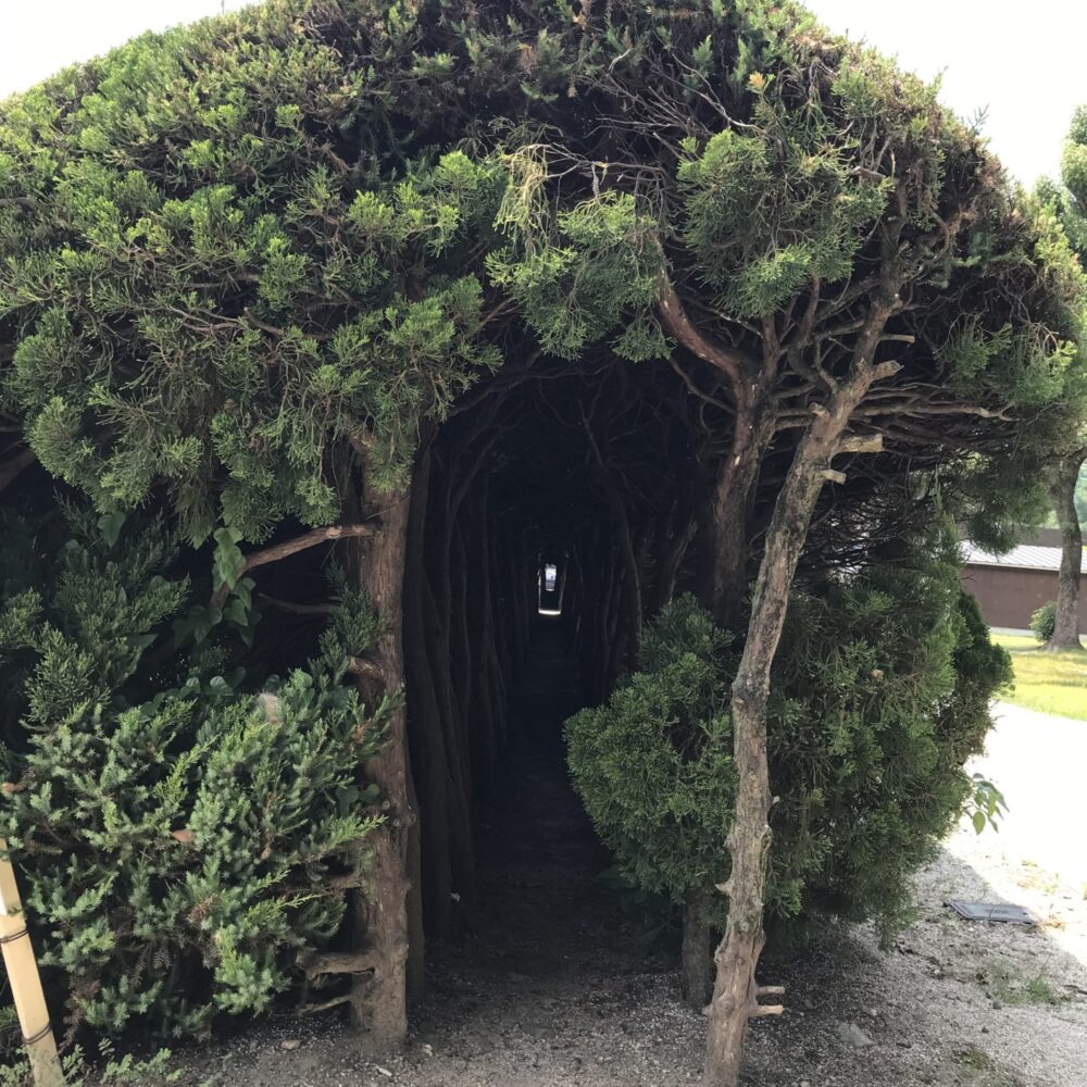 八幡浜市王子の森公園にある「トトロトンネル」