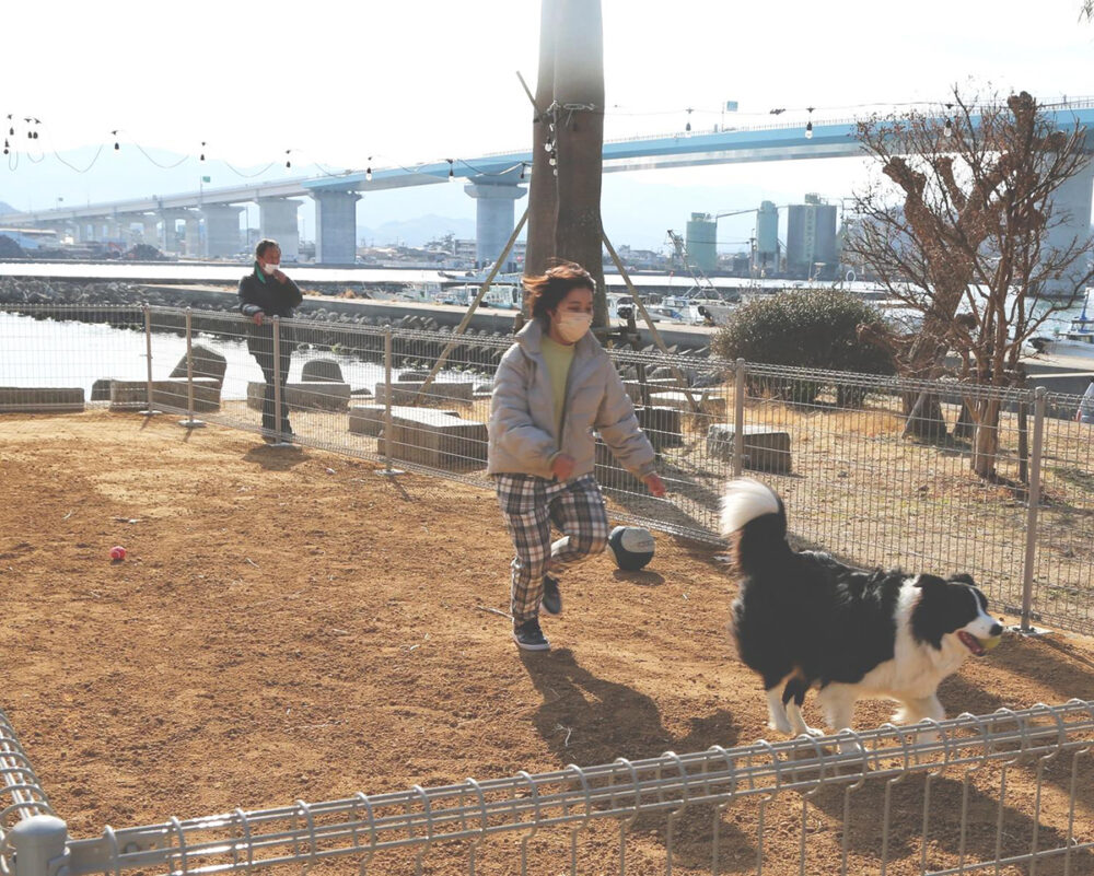 徳島新鮮なっとく市のドッグランで駆け回る様子