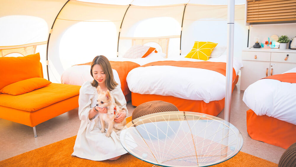 小・中型犬と過ごせるDog Suite Tasogare