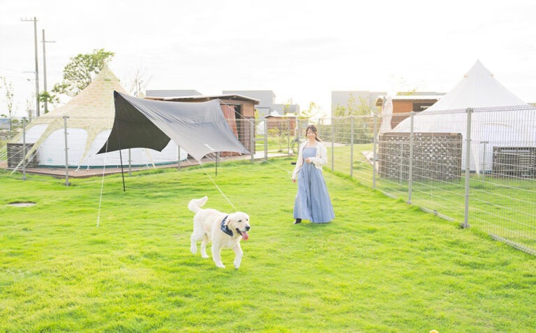 愛犬がのびのびと駆け回れるプライベートドッグラン