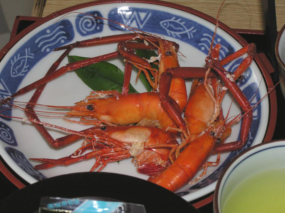四万十名物「川エビの塩ゆで」