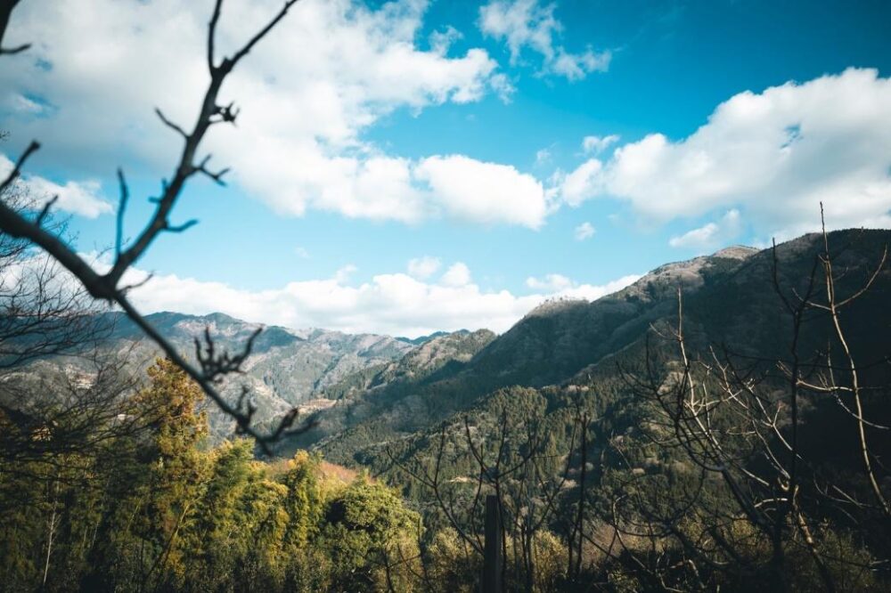 高知県大豊町の山岳風景