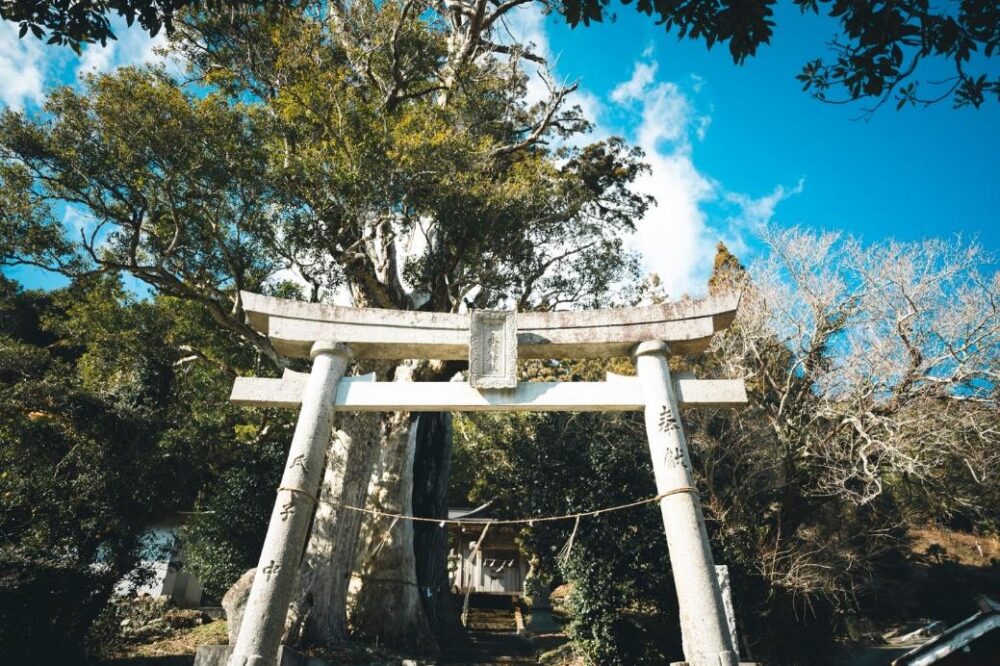 永渕神社の鳥居