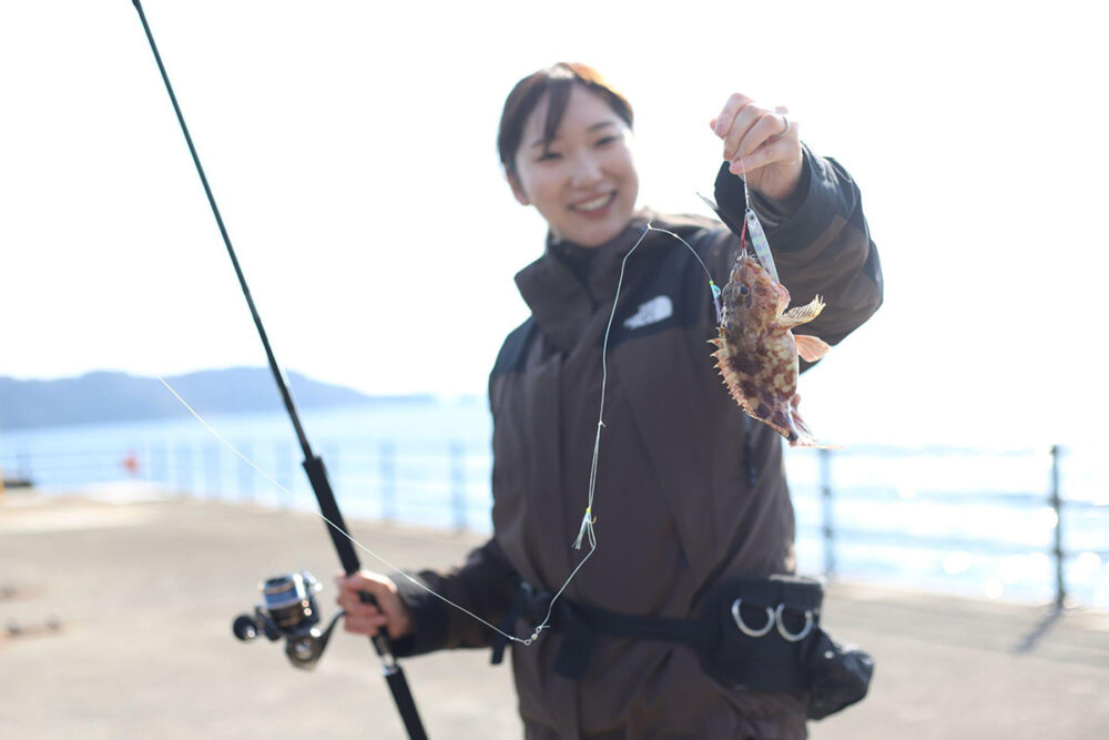 宇和海で釣れたカサゴ