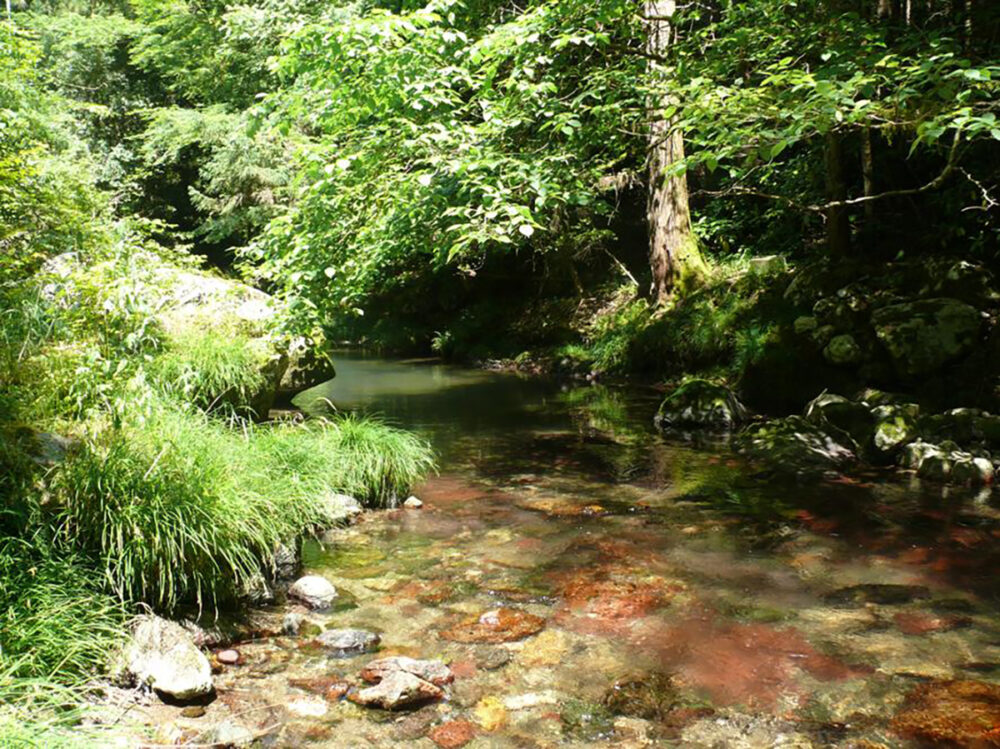 あまごの里のそばを流れる河辺川