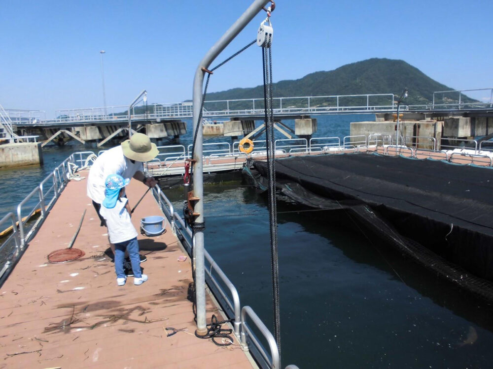 釣り堀は親子でも安全に楽しめる柵付きのいかだ