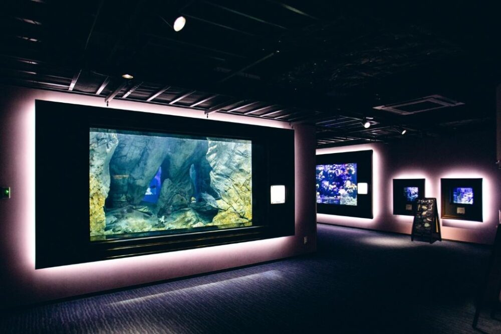 四国水族館の展示