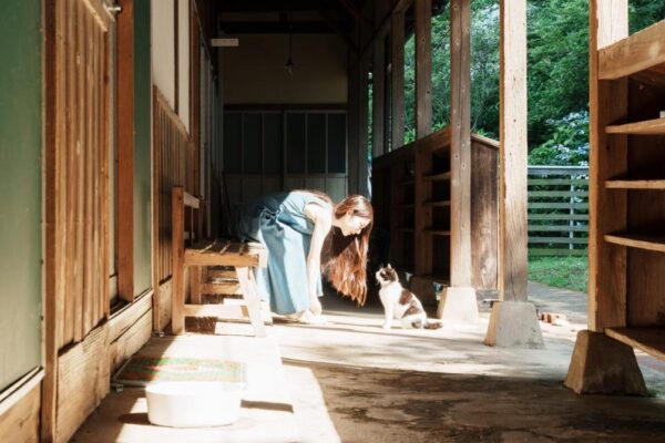 猫の島「佐柳島」で猫と対面
