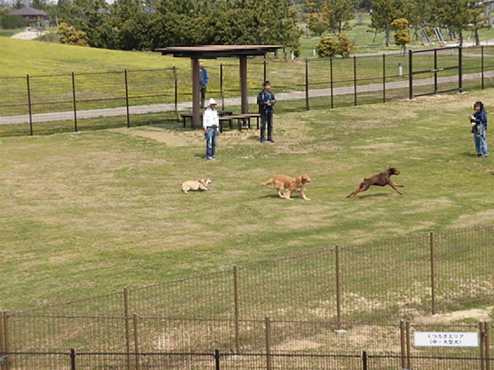 月見ヶ丘海浜公園のドッグラン