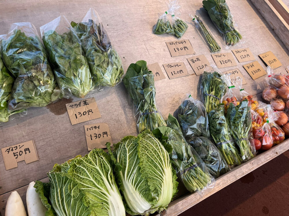 マツシゲート朝市に並ぶ新鮮な野菜