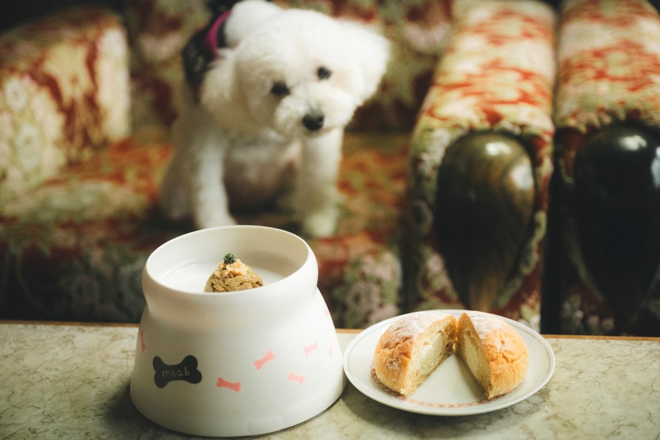 犬用フードメニュー