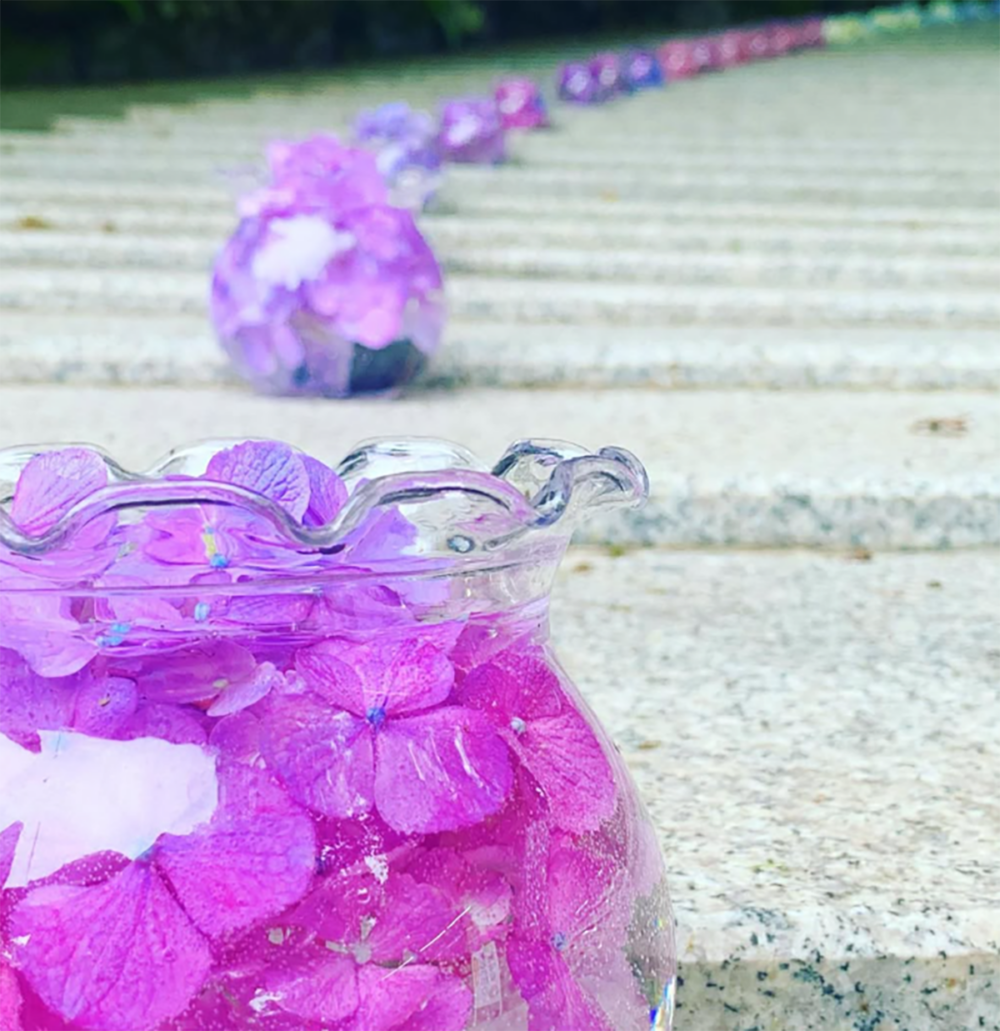 雲辺寺のあじさい玉