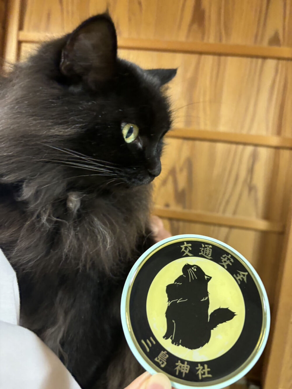 三島神社の交通安全ステッカーとモデル猫のヤミちゃん