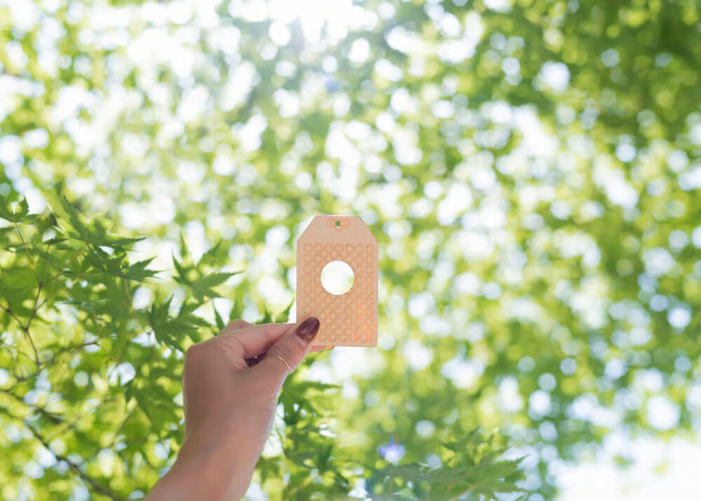 香川県・一宮寺のmikkemamori