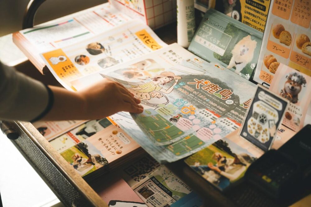 犬鹿島のチラシ