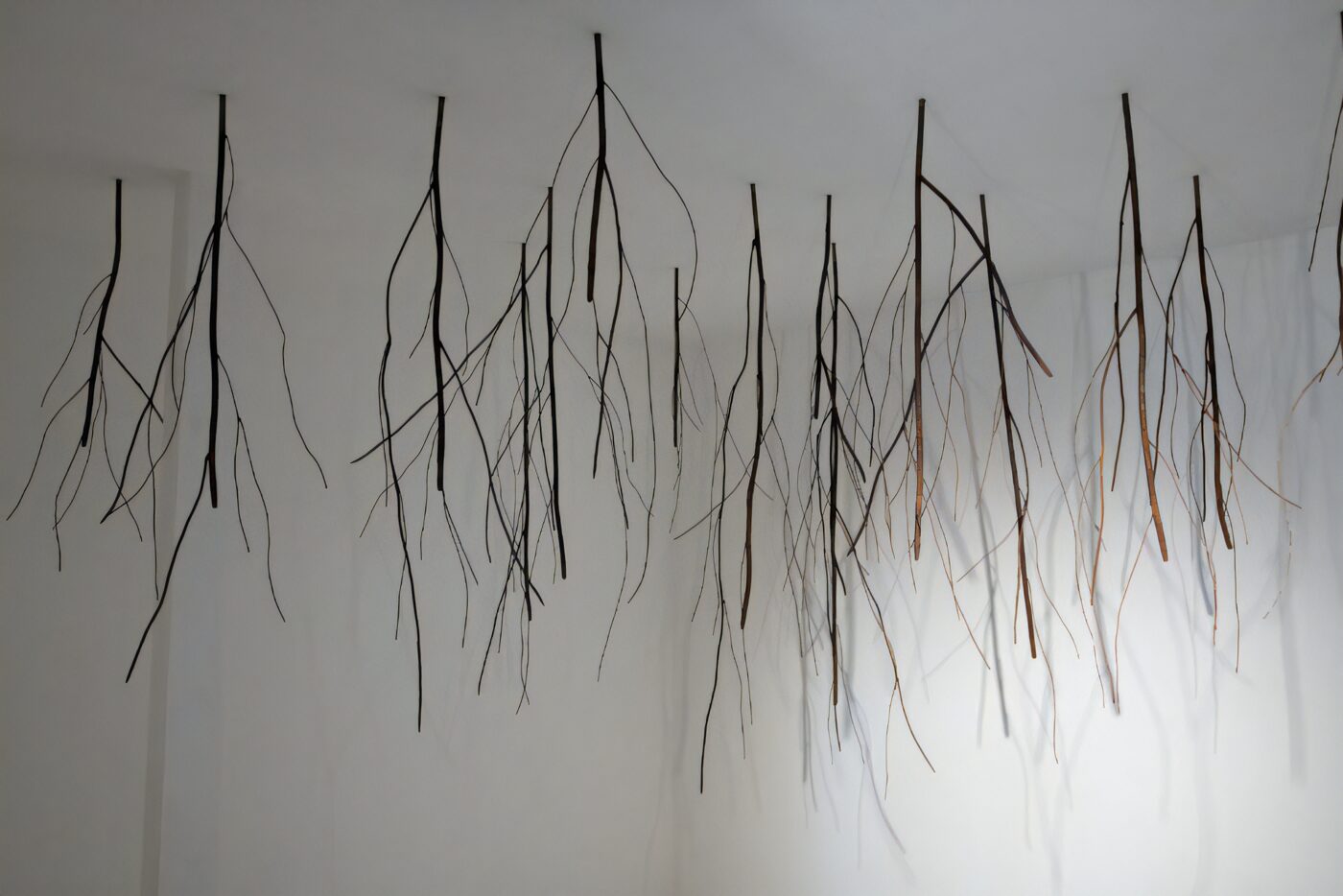 「玉木かつこ GARDEN」