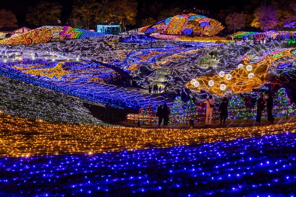 まんのう公園 グランドイルミネーション