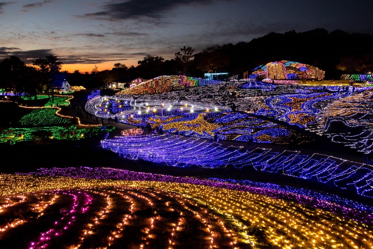 まんのう公園 イルミネーション