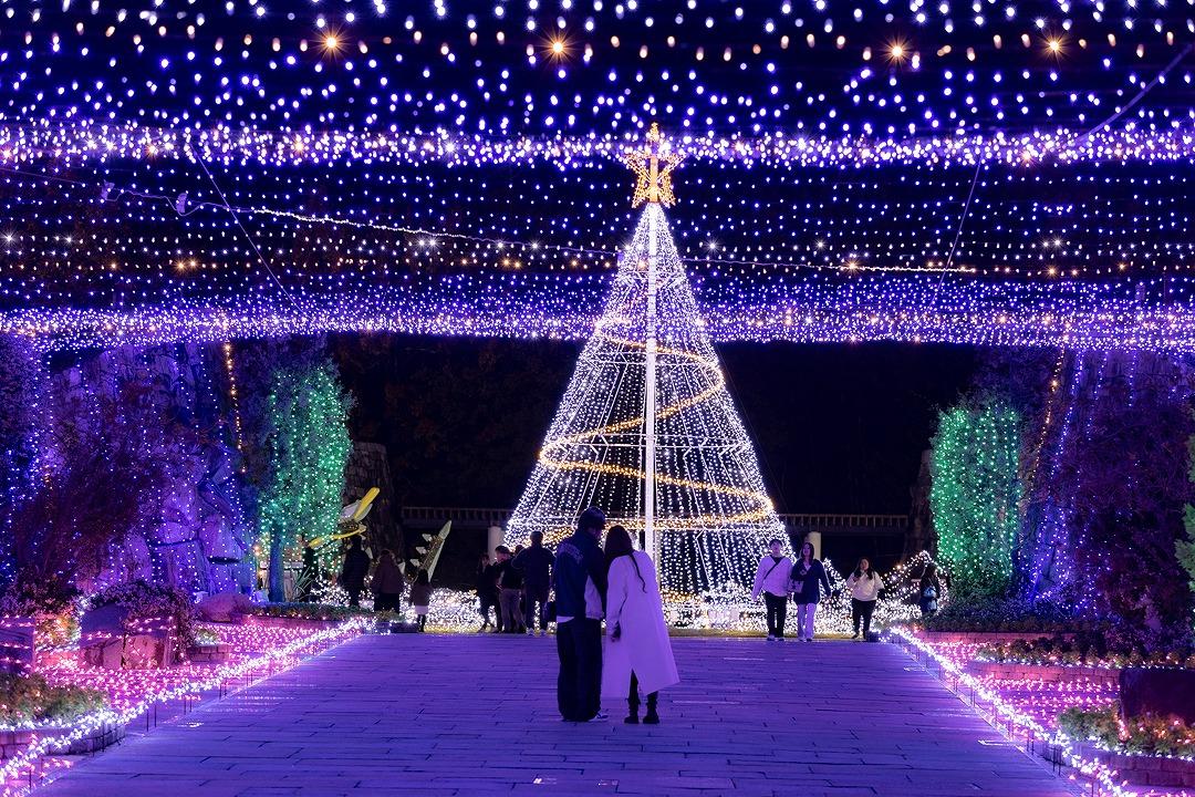 まんのう公園 シンボルツリー