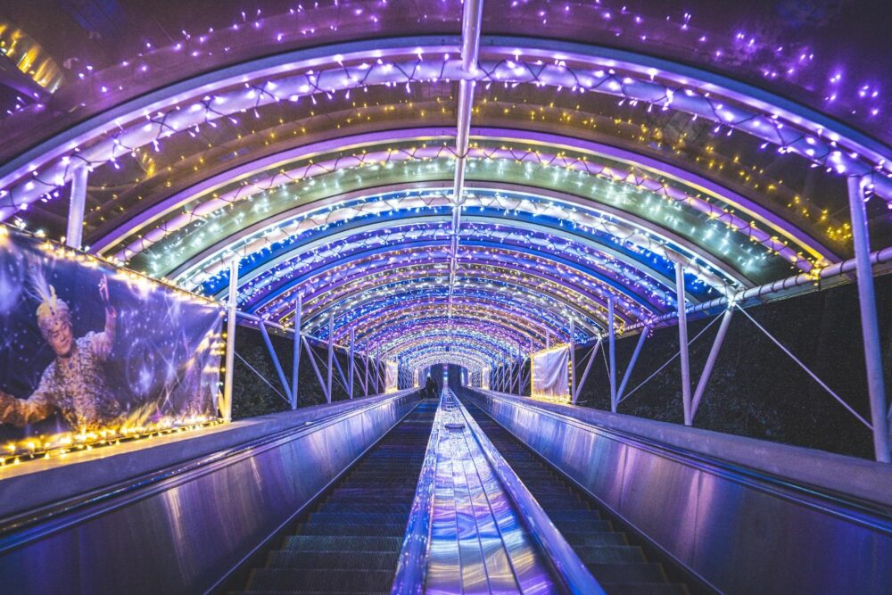 アモーレMATSUKENマジックストロー